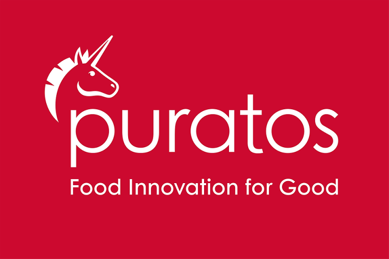 Puratos Italia: Creative Baking and Chocolate Excellence
